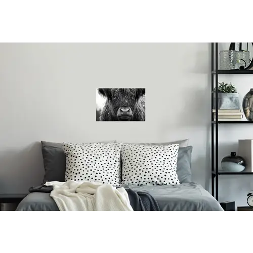 Schotse hooglander - Zwart - Wit - Sneeuwvlokken Muursticker klein -slaapkamer