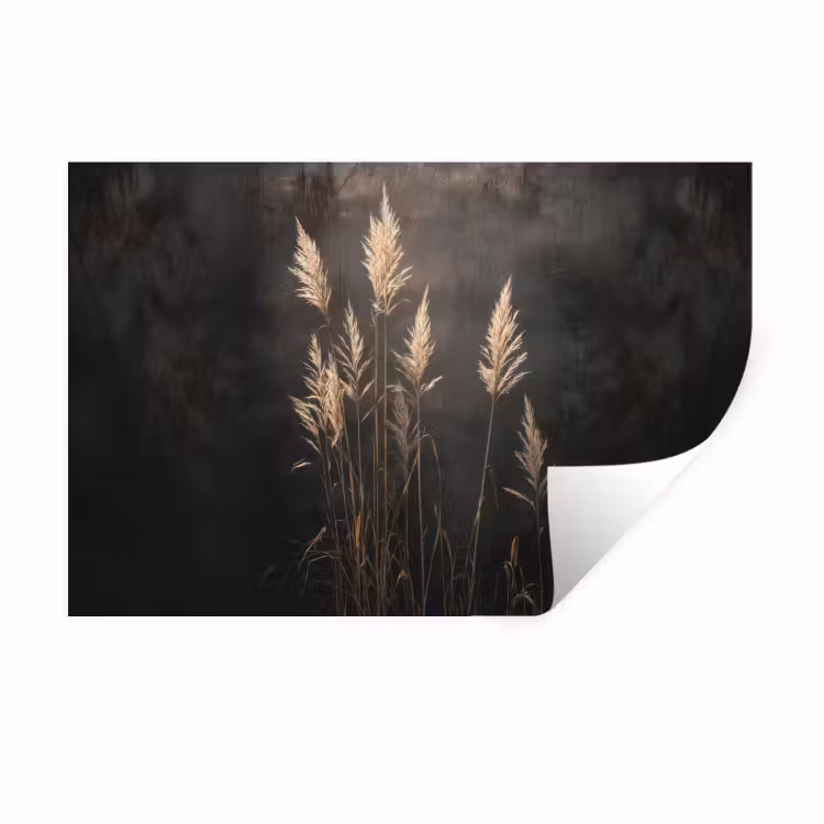 Siergras - Pluimen - Verlichting - Zwart Muursticker klein -3d