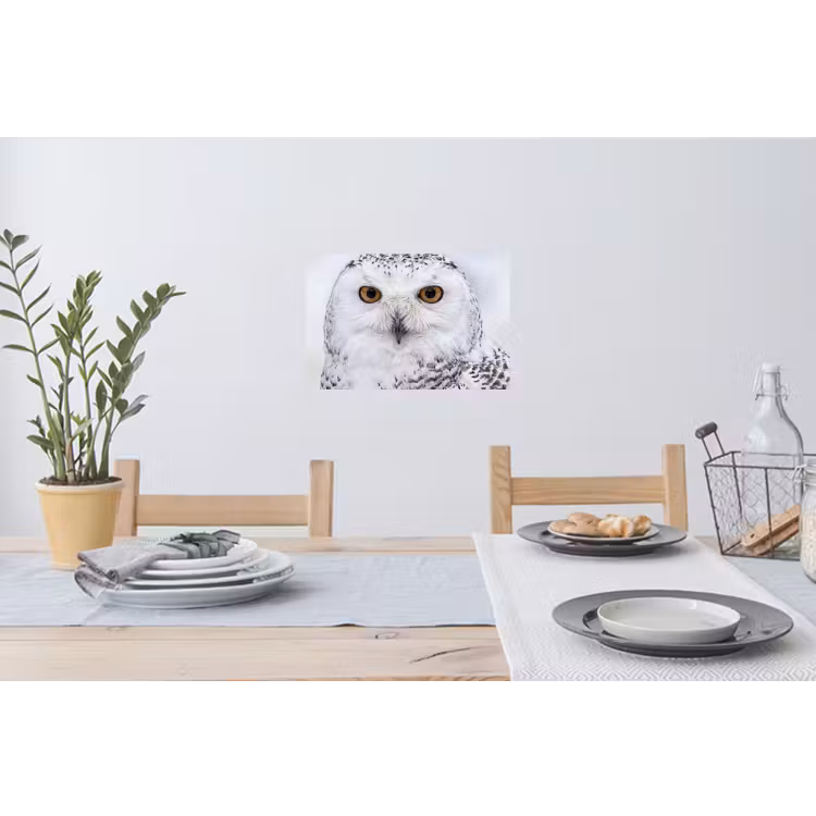 Sneeuwuil - Oog - Wildlife - Wit Muursticker klein -eettafel