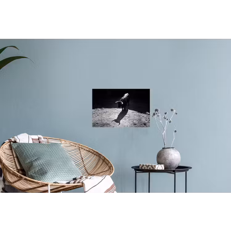 Stier - Schaduw - Dieren - Contrast - Zwart-wit Muursticker klein -plant
