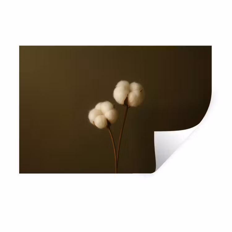 Takken - Katoen - Wit - Bollen Muursticker klein -3d