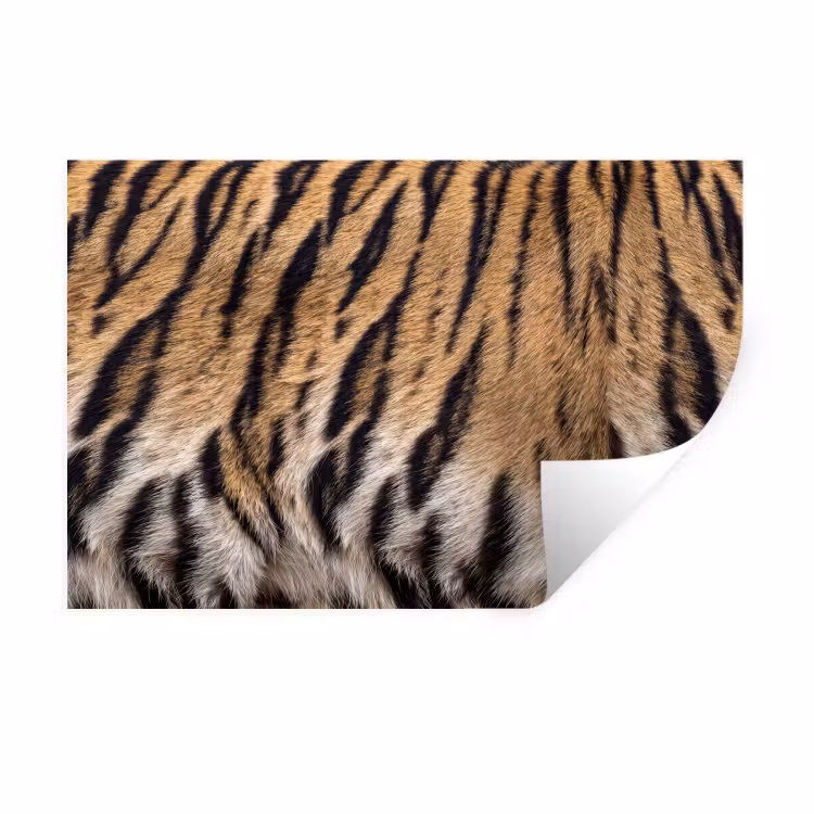 Tijgervacht - Klassiek - Zwart Muursticker klein -3d