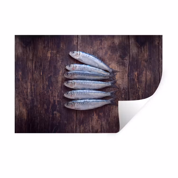 Muursticker - Vis - Hout - Eten - Vis - Hout - Eten Muursticker klein