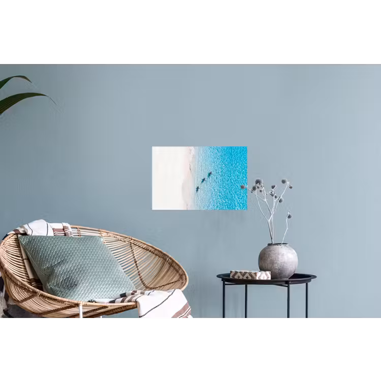 Vis - Oceaan - Strand - Turquoise - Natuur Muursticker klein -plant