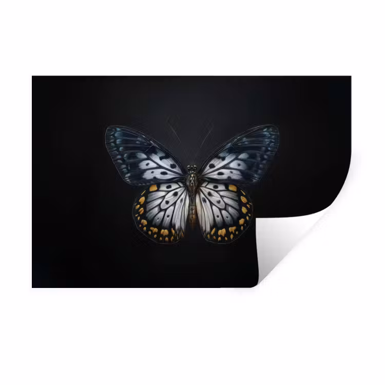 Vlinder - Monochroom - Balans Muursticker klein -3d