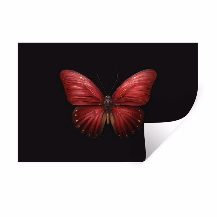 Vlinder - Rood - Minimalistisch Muursticker klein -3d