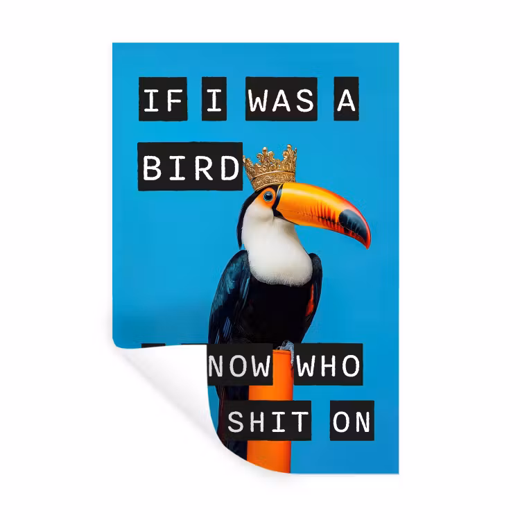 Vogel - Toekan - Blauw - Quotes Muursticker klein -3d
