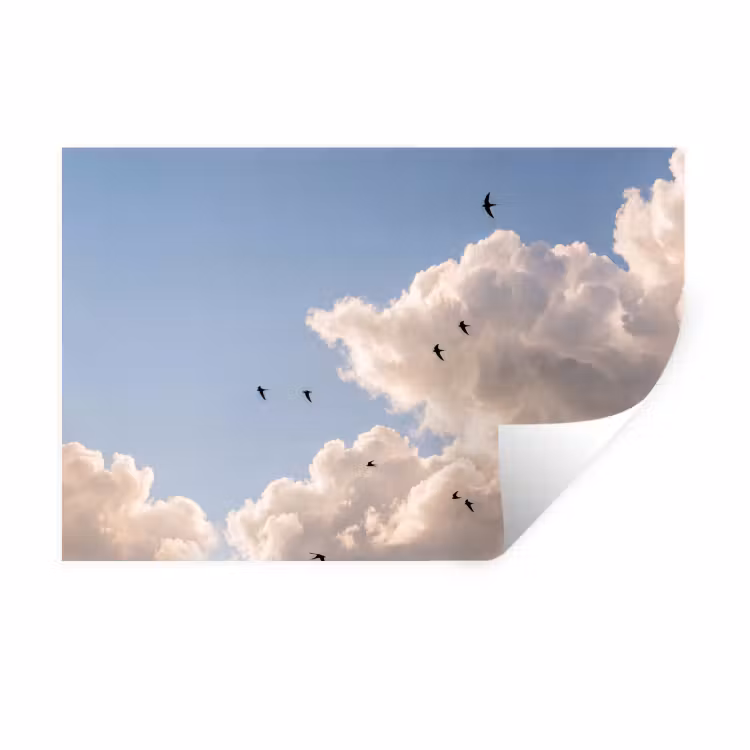 Vogel - Vlucht - Wolken - Natuur - Blauw Muursticker klein -3d