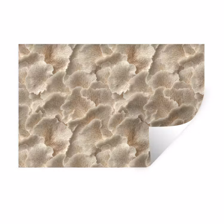 Waaierstructuren - Beige - Vezeltextuur Muursticker klein 286 -3d