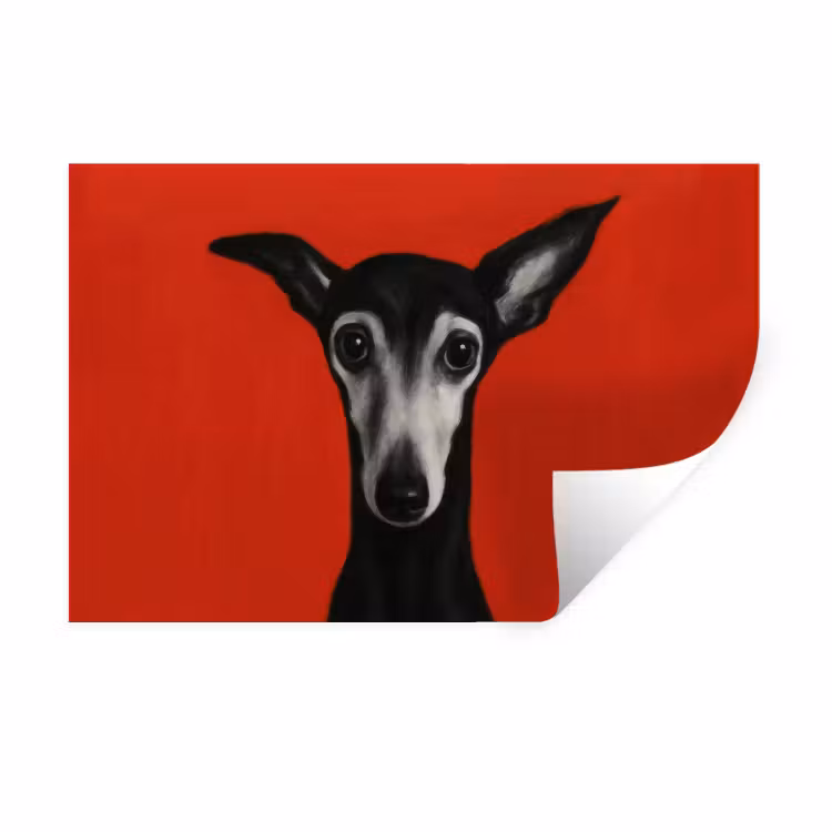 Windhond - Minimalistisch - Rood Muursticker klein -3d