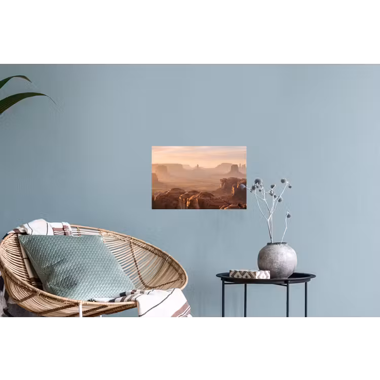 Woestijn - Landschap - Natuur Muursticker klein -plant