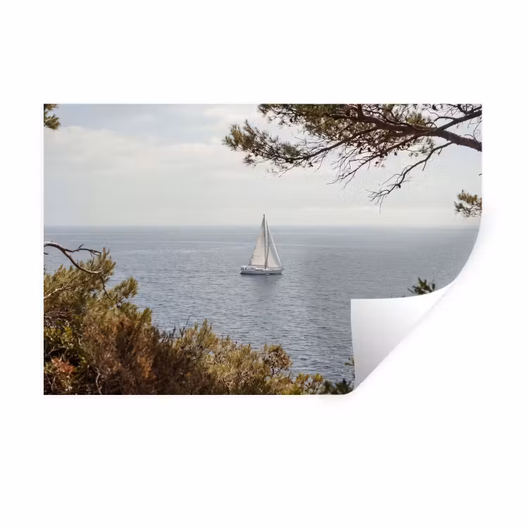 Muursticker - Zeilboot - bomen - water - Zeilboot - bomen - water Muursticker klein
