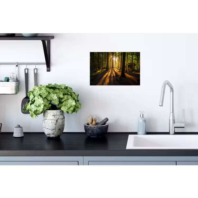 Zon - Bomen - Bos - Landschap Muursticker klein -keuken