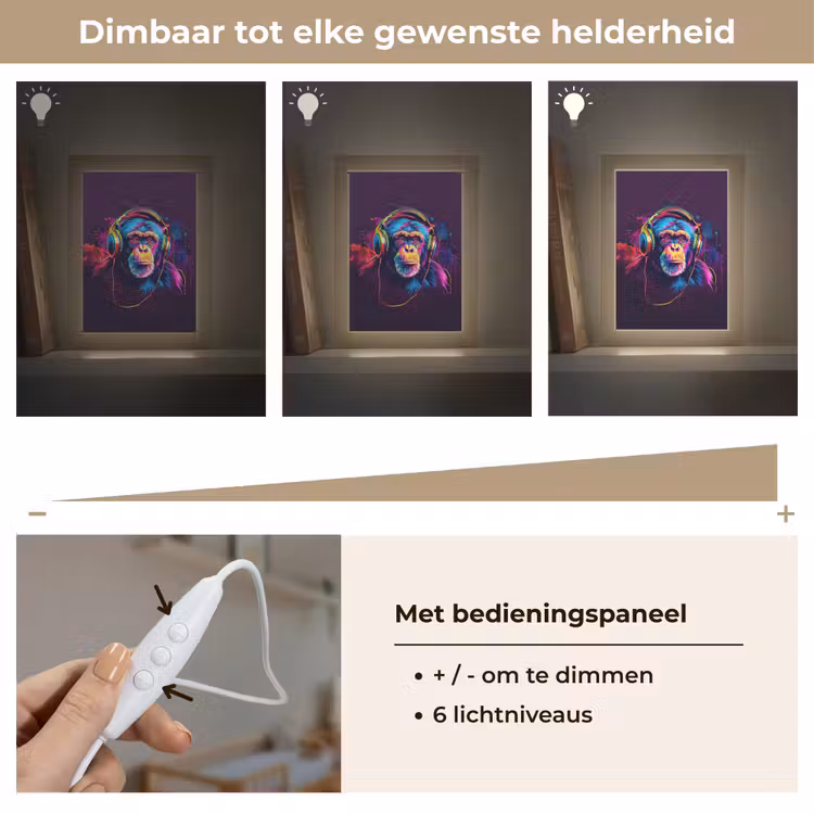 Aap - Koptelefoon - Muziek - Kleurrijk Light Box met kabel klein -USP_dimbaarNL
