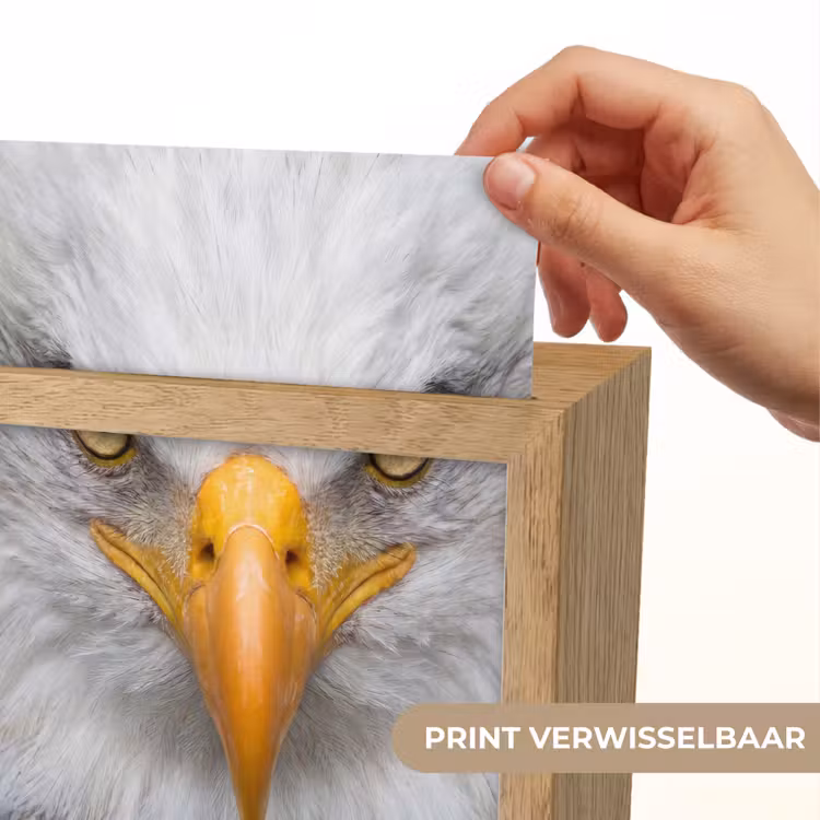 Amerikaans - Zeearend - Portret - Geel Light Box met kabel (Kinderlampje) klein -USP_websiteprintNL