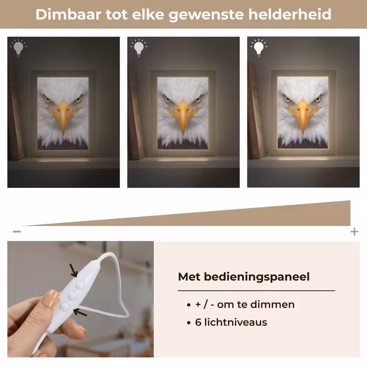 Amerikaans - Zeearend - Portret - Geel Light Box met kabel (Kinderlampje) klein -USP_dimbaarNL
