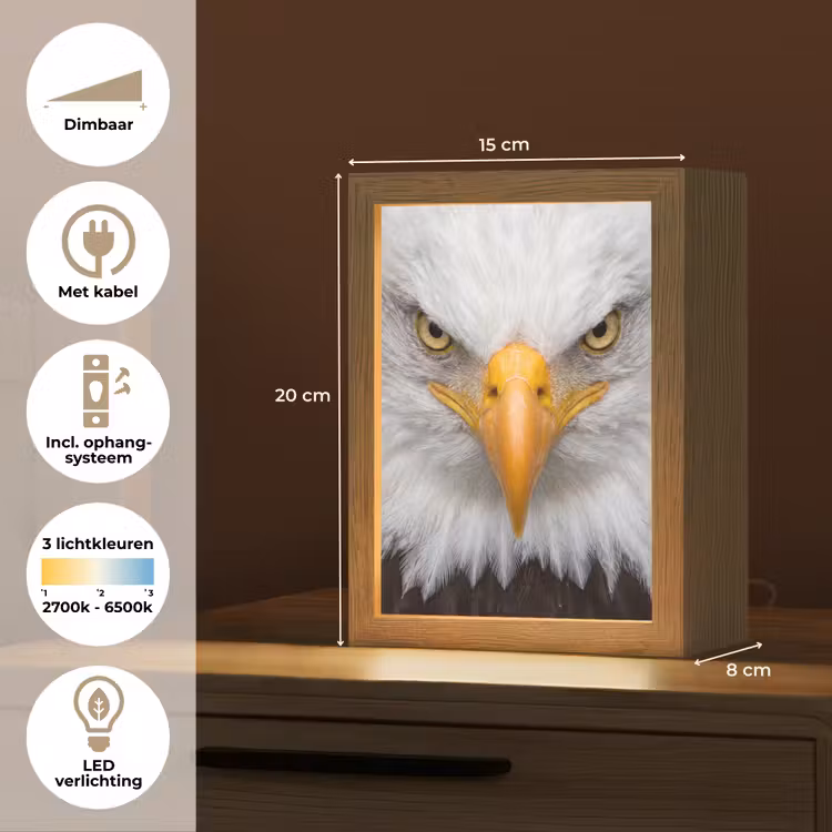 Amerikaans - Zeearend - Portret - Geel Light Box met kabel (Kinderlampje) klein -USP_NL