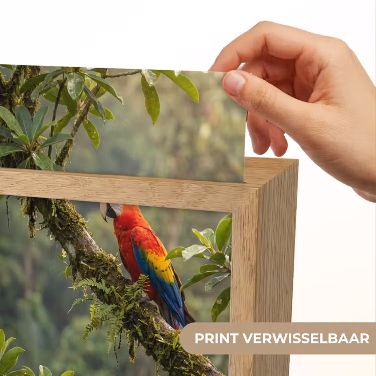 Ara - Jungle - Rood Light Box met kabel (Kinderlampje) klein -USP_websiteprintNL
