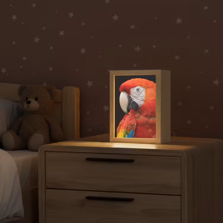 Ara - Portret - Rood Light Box met kabel (Kinderlampje) klein -sfeer1_kind