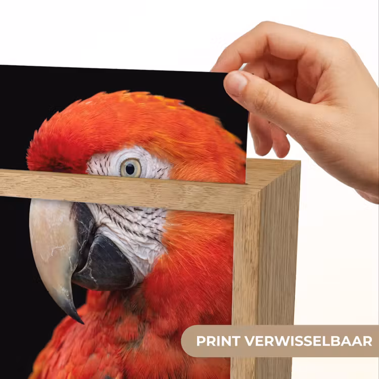 Ara - Portret - Rood Light Box met kabel (Kinderlampje) klein -USP_websiteprintNL