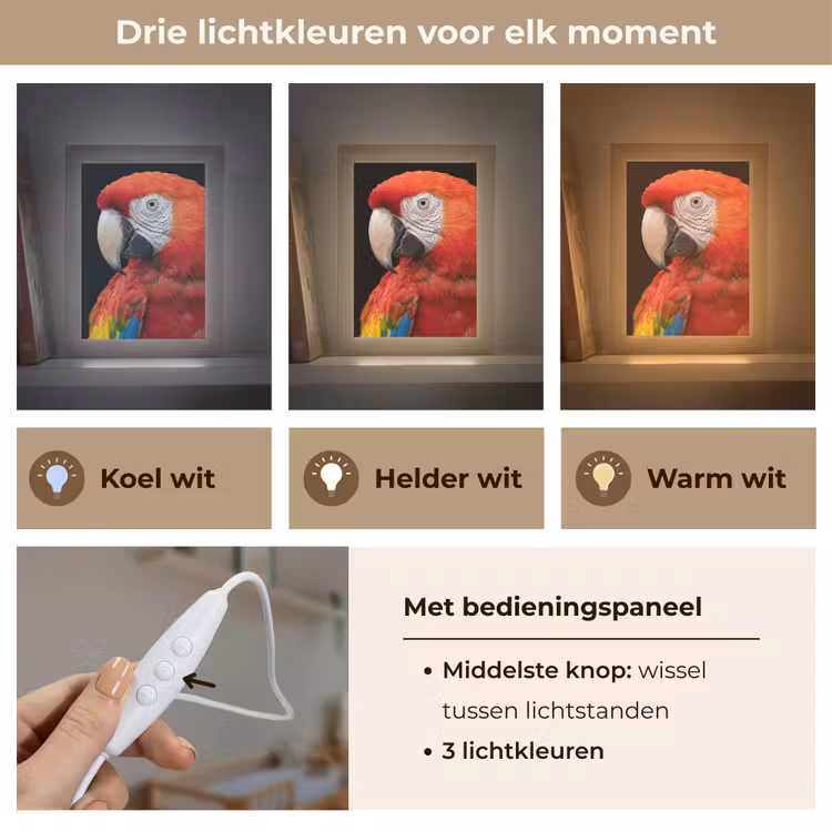 Ara - Portret - Rood Light Box met kabel (Kinderlampje) klein -USP_lichtkleurNL