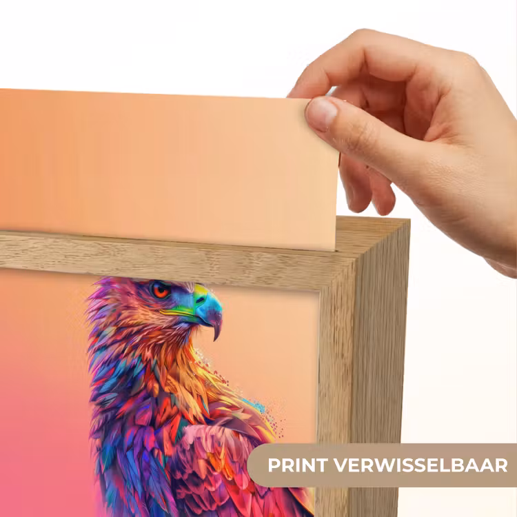 Arend - Vogel - Kleurrijk - Dier Light Box met kabel (Kinderlampje) klein -USP_websiteprintNL
