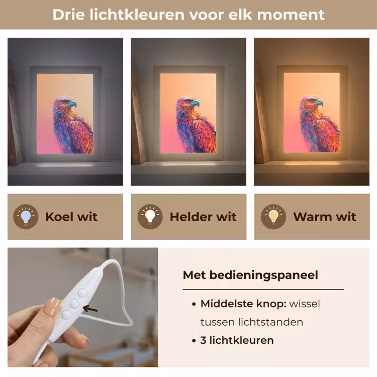 Arend - Vogel - Kleurrijk - Dier Light Box met kabel klein -USP_lichtkleurNL