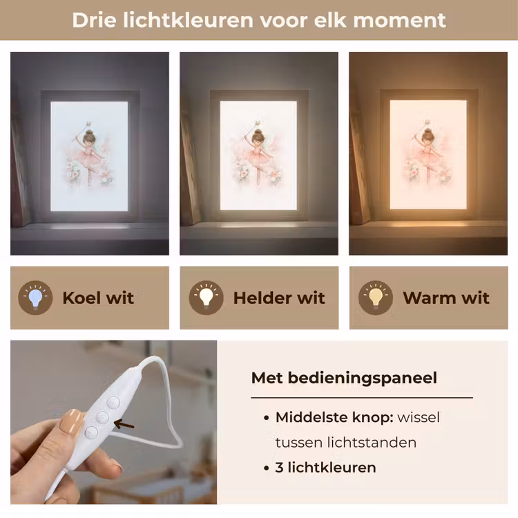 Ballerina - Fee - Bloemen - Roze Light Box met kabel klein -USP_lichtkleurNL