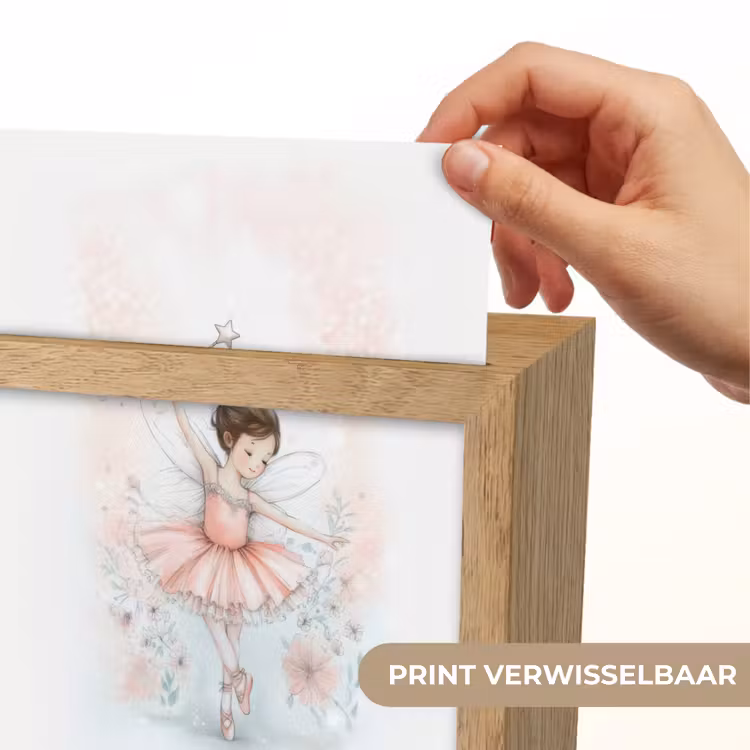 Ballerina - Fee - Roze Light Box met kabel (Kinderlampje) klein -USP_websiteprintNL
