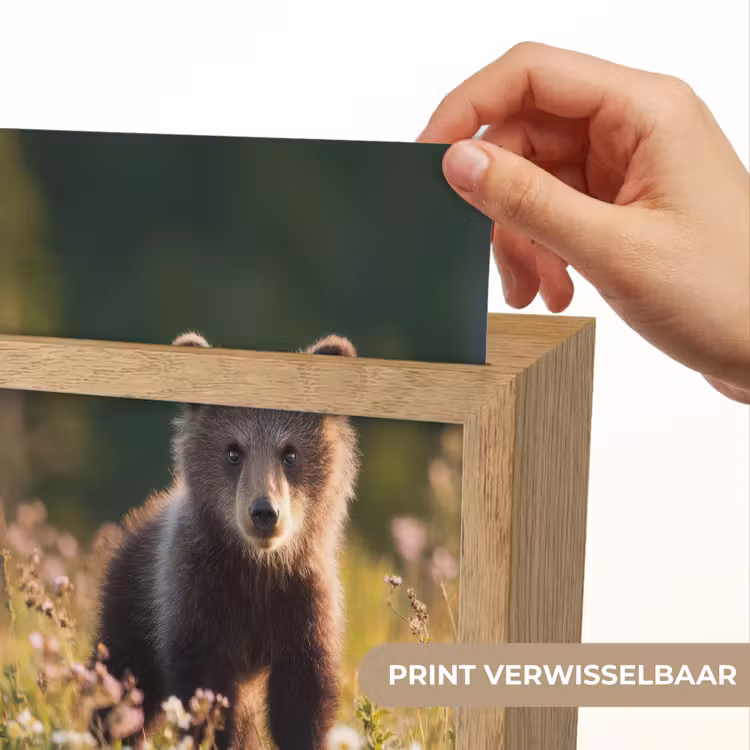Beer - Bloemenveld - Gras Light Box met kabel (Kinderlampje) klein -USP_websiteprintNL