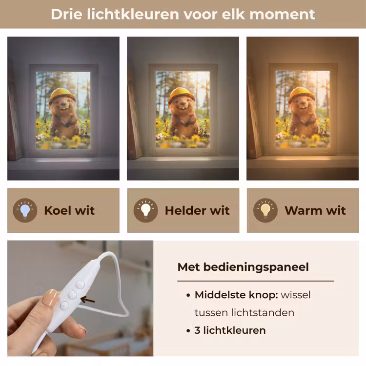 Bever - Dier - Bouwhelm - Natuur Light Box met kabel klein -USP_lichtkleurNL