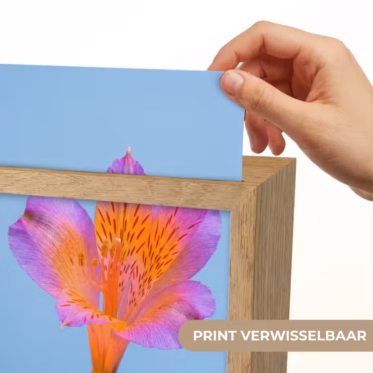 Bloem - Detail - Kleurrijk Light Box met kabel (Kinderlampje) klein -USP_websiteprintNL