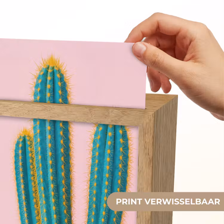 Cactussen - Modern - Pastel Light Box met kabel (Kinderlampje) klein -USP_websiteprintNL