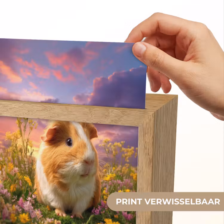 Cavia - Kleurrijk - Bloemen Light Box met kabel (Kinderlampje) klein -USP_websiteprintNL