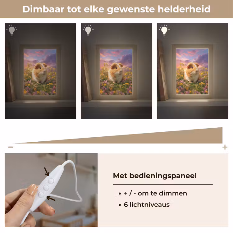 Cavia - Kleurrijk - Bloemen Light Box met kabel klein -USP_dimbaarNL