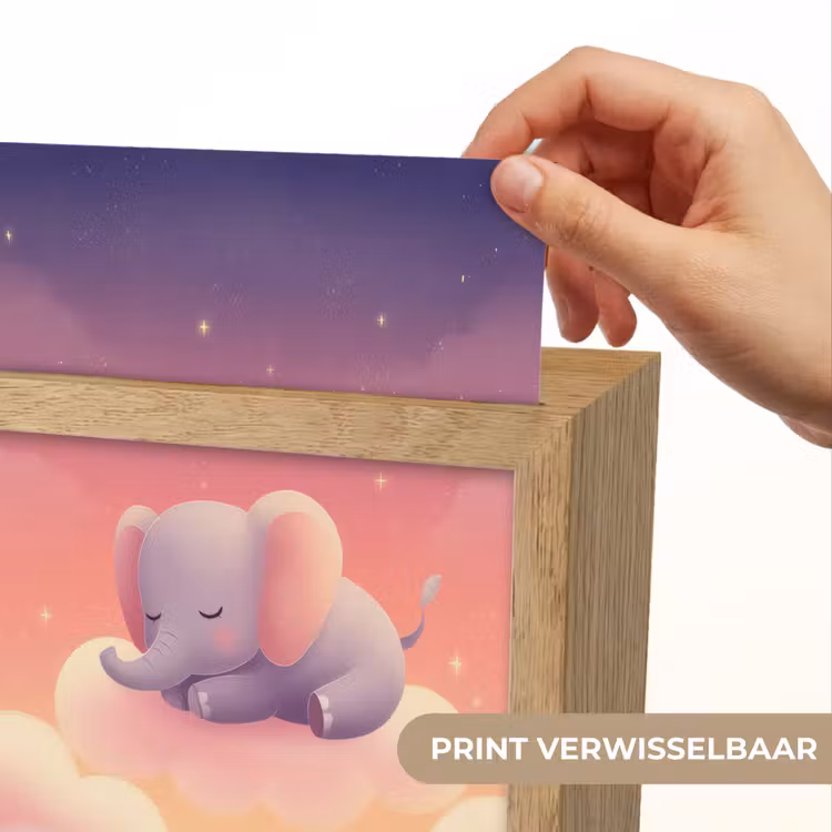 Dier - Roze - Wolken Light Box met kabel (Kinderlampje) klein -USP_websiteprintNL