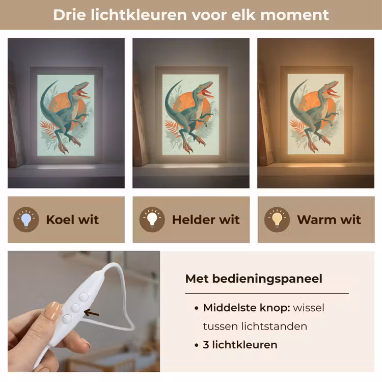 Dino - Bladeren - Grafisch - Groen Light Box met kabel klein -USP_lichtkleurNL