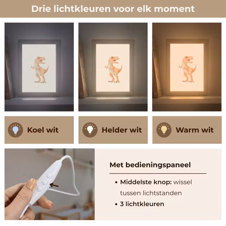 Dino - T-Rex - Oranje - Stippen Light Box met kabel klein -USP_lichtkleurNL