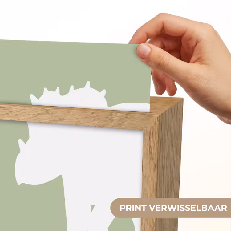 Dino - Triceratops - Dinosaurus - Groen Light Box met kabel (Kinderlampje) klein -USP_websiteprintNL