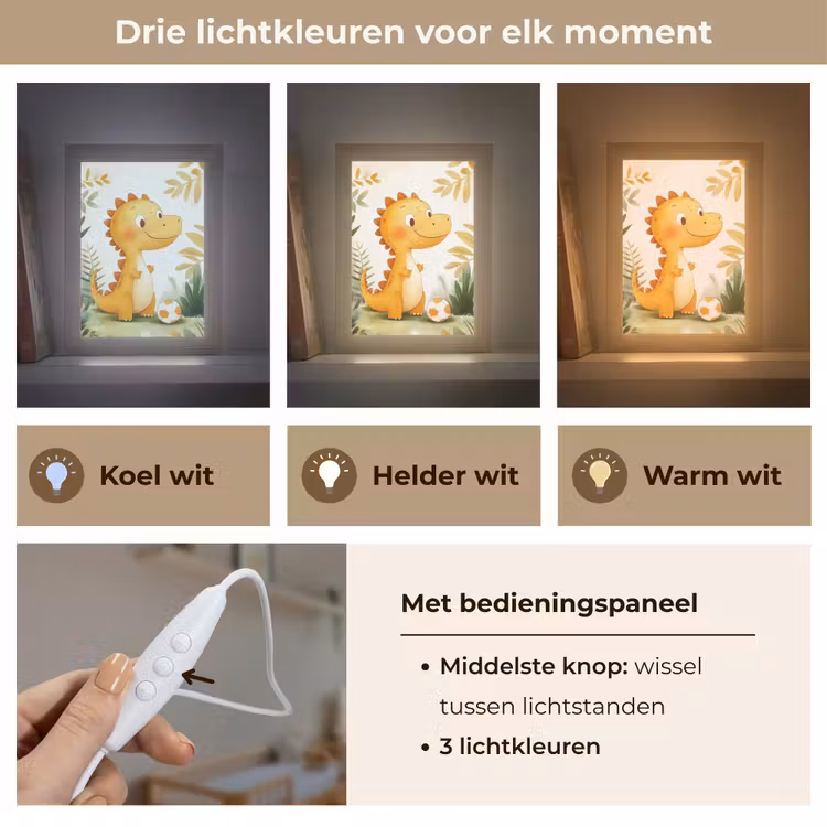 Dino - Voetbal - Oranje Light Box met kabel klein -USP_lichtkleurNL