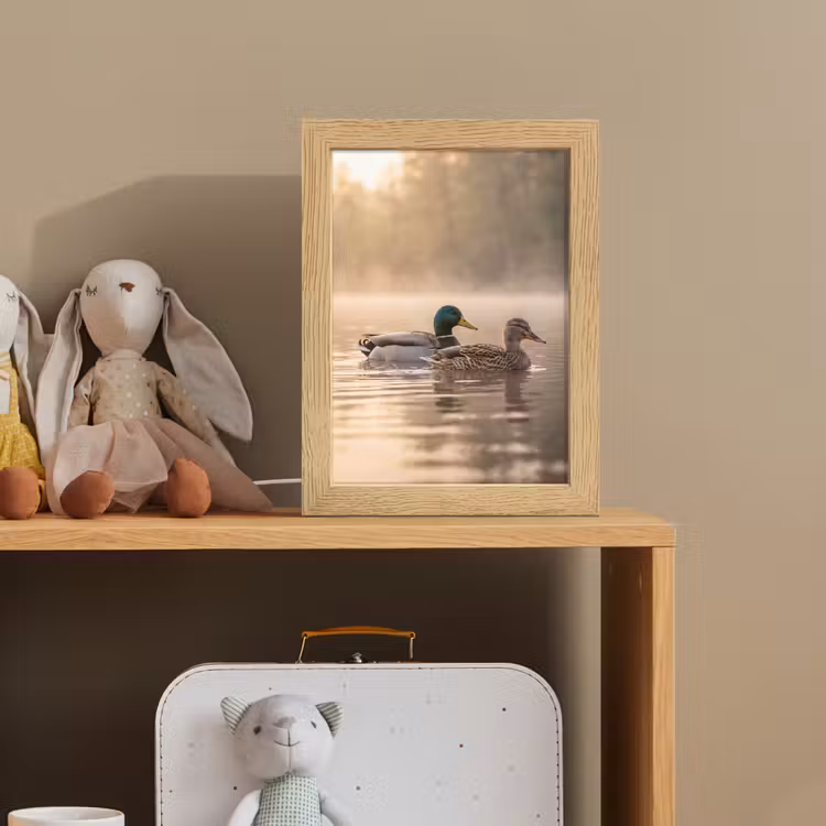 Eenden - Water - Mist - Natuur Light Box met kabel (Kinderlampje) klein -sfeer2_kind