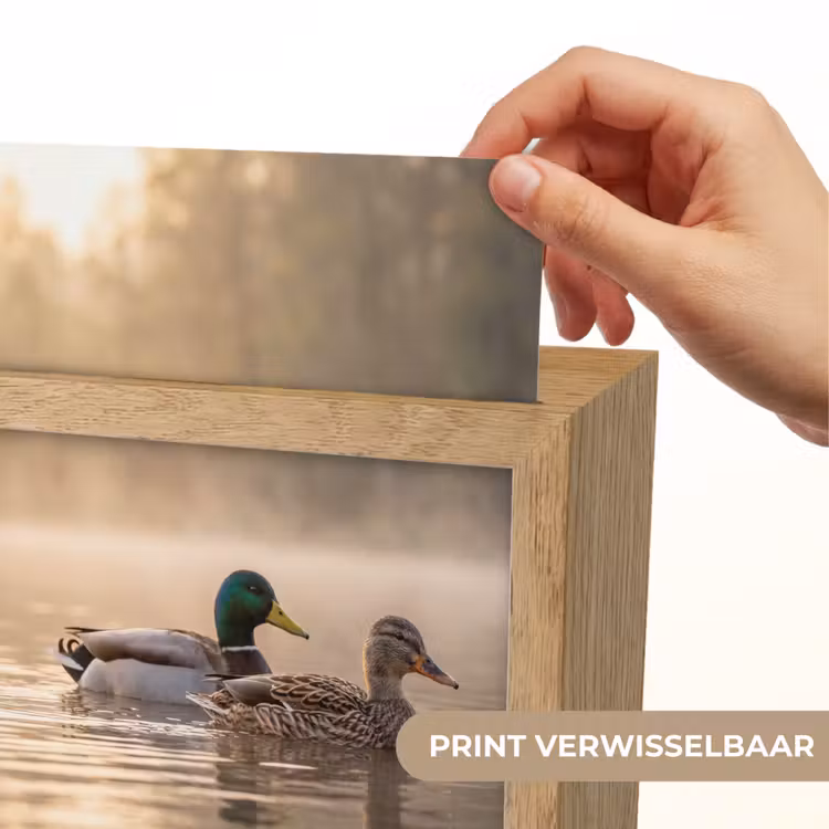 Eenden - Water - Mist - Natuur Light Box met kabel (Kinderlampje) klein -USP_websiteprintNL