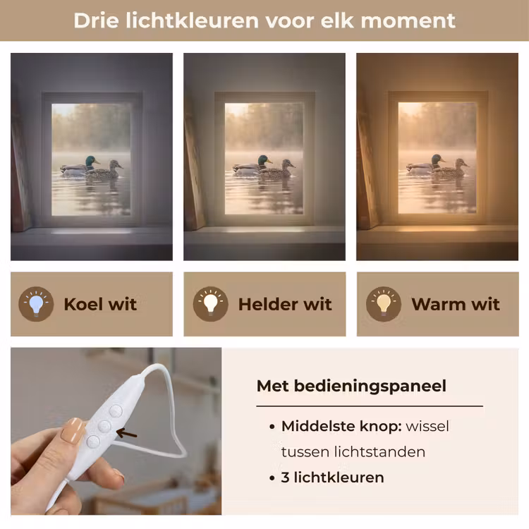 Eenden - Water - Mist - Natuur Light Box met kabel (Kinderlampje) klein -USP_lichtkleurNL