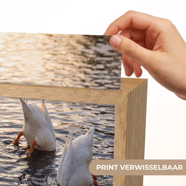Eenden - Water - Natuur Light Box met kabel (Kinderlampje) klein -USP_websiteprintNL