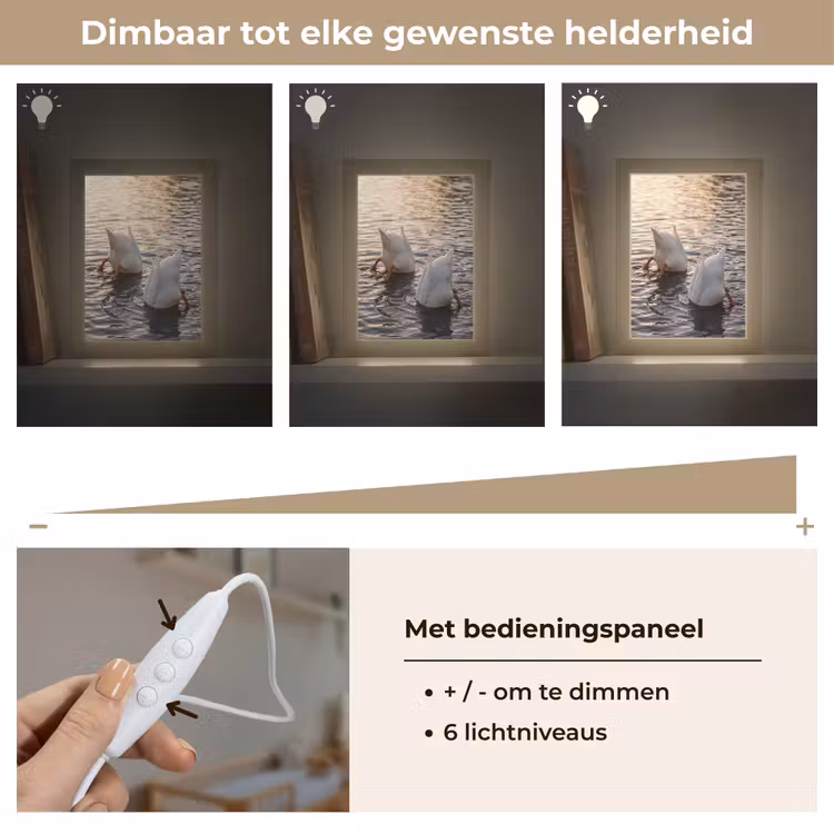 Eenden - Water - Natuur Light Box met kabel (Kinderlampje) klein -USP_dimbaarNL