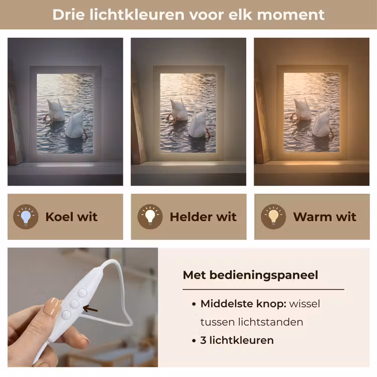 Eenden - Water - Natuur Light Box met kabel (Kinderlampje) klein -USP_lichtkleurNL
