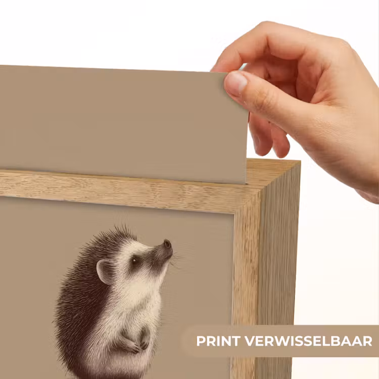 Egel - Snuitje - Bruin - Stekels Light Box met kabel (Kinderlampje) klein -USP_websiteprintNL