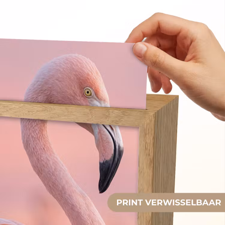 Flamingo - Portret - Roze Light Box met kabel (Kinderlampje) klein -USP_websiteprintNL