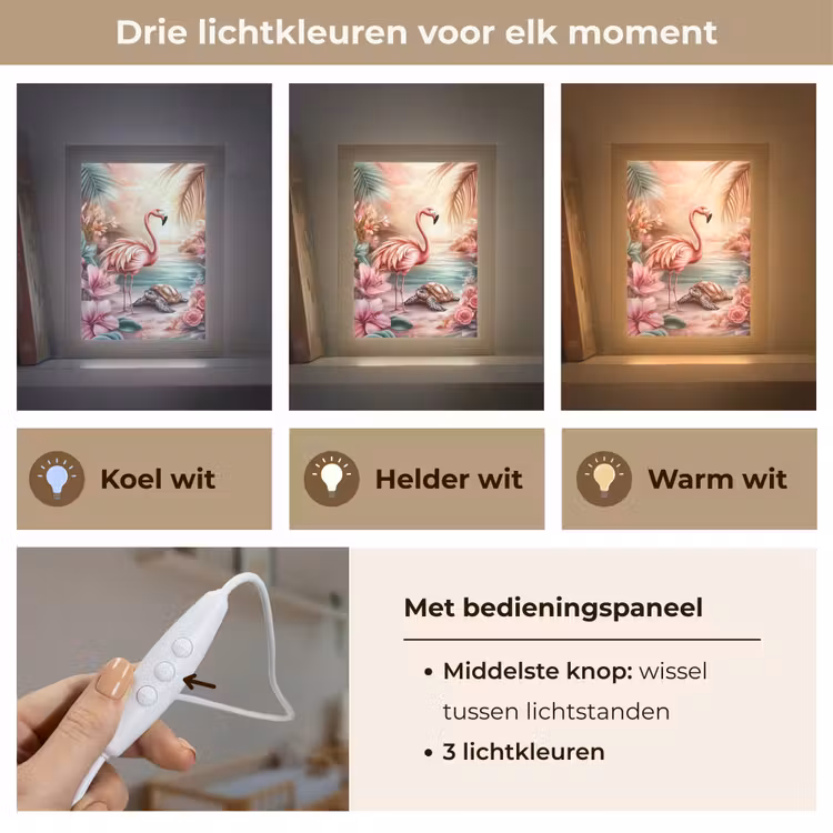Flamingo - Schildpad - Roze Light Box met kabel klein -USP_lichtkleurNL