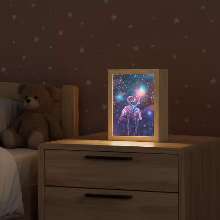 Flamingo's - Dieren - Ruimte - Galaxy Light Box met kabel klein -sfeer1_kind